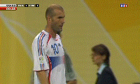 zidannnnnn