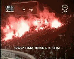 dima magana