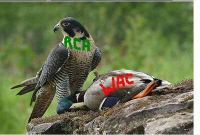 btaaaaaaaaaaaaaaaaaa